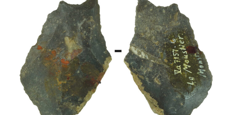 LOS INGENIOS NEANDERTALES REVELADOS: UN DESCUBRIMIENTO EN LE MOUSTIER 1 LOS INGENIOS NEANDERTALES REVELADOS: UN DESCUBRIMIENTO EN LE MOUSTIER