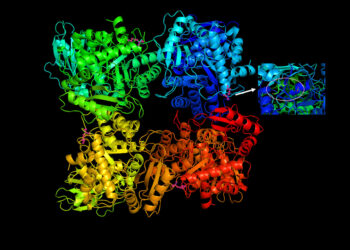 DESCUBRIMIENTO EN OXFORD: LA RUBISCO EVOLUCIONA CONSTANTEMENTE