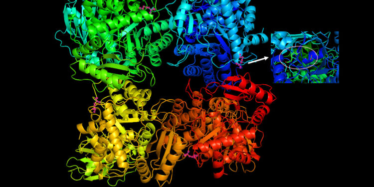 DESCUBRIMIENTO EN OXFORD: LA RUBISCO EVOLUCIONA CONSTANTEMENTE