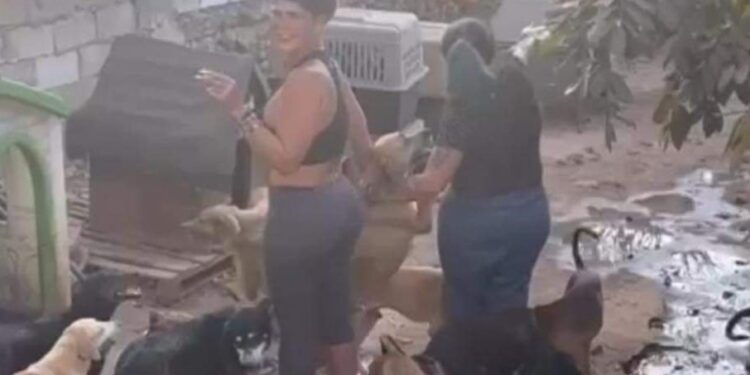 ¿NIURKA ADOPTA PERROS PARA RITUALES DE SANTERÍA? LA VERDAD DETRÁS DE LA POLÉMICA 1 ¿NIURKA ADOPTA PERROS PARA RITUALES DE SANTERÍA? LA VERDAD DETRÁS DE LA POLÉMICA