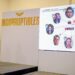 EXHIBE MC PAGOS DE ADRIÁN A EMPRESA FANTASMA 7 EXHIBE MC PAGOS DE ADRIÁN A EMPRESA FANTASMA