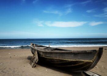 MACABRO HALLAZGO: ENCUENTRAN 20 CADÁVERES EN ESTADO DE DESCOMPOSICIÓN EN BRASIL