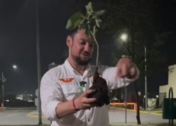 IMPULSA DÁVILA REFORESTACIÓN EN GARCÍA