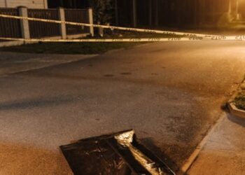 ASOMBROSOS ASESINOS SERIALES: LA NEGRA HISTORIA DE MÉXICO