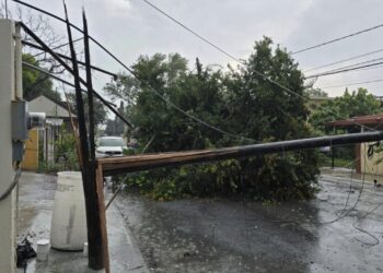 LONAS VOLADORAS, POSTES Y ÁRBOLES CAÍDOS, EL SALDO DE FUERTES VIENTOS EN NL