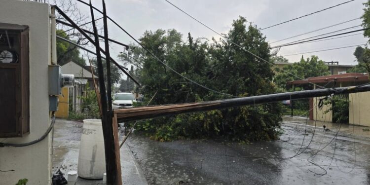 LONAS VOLADORAS, POSTES Y ÁRBOLES CAÍDOS, EL SALDO DE FUERTES VIENTOS EN NL