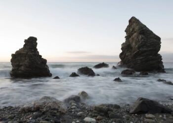 EL ALGA ASIÁTICA AMENAZA LAS PLAYAS ESPAÑOLAS