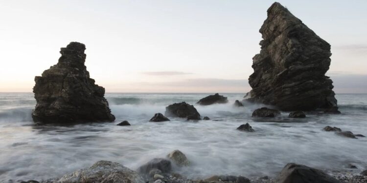 EL ALGA ASIÁTICA AMENAZA LAS PLAYAS ESPAÑOLAS 1 EL ALGA ASIÁTICA AMENAZA LAS PLAYAS ESPAÑOLAS