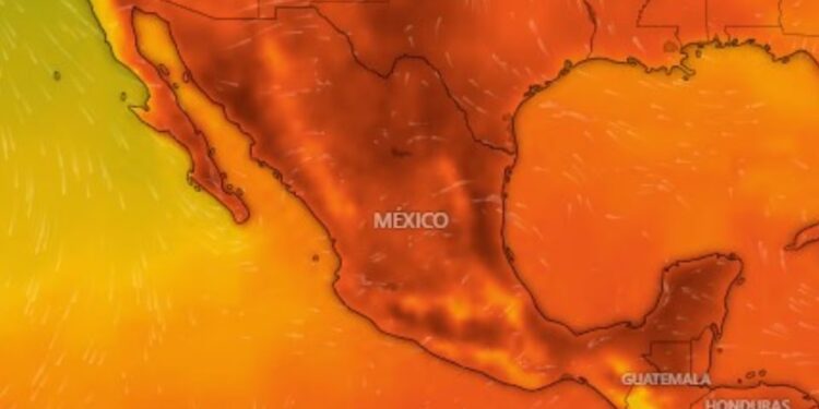 LLEGA LA TERCERA OLA DE CALOR: 30 ESTADOS BAJO ALERTA 1 LLEGA LA TERCERA OLA DE CALOR: 30 ESTADOS BAJO ALERTA