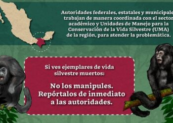 INVESTIGAN MUERTE DE FAUNA SILVESTRE EN TABASCO Y CHIAPAS