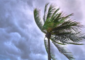 TORNADO DEJA 4 MUERTOS Y CORTES ELÉCTRICOS MASIVOS EN TEXAS Y LUISIANA