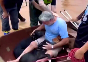 CONMOVEDOR RESCATE; HOMBRE SALVA A SUS PERROS DE INUNDACIONES EN BRASIL