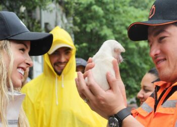 ADOPTAN MARIANA Y SAMUEL PERRITO, SE LLAMARÁ ‘ALBERTO’