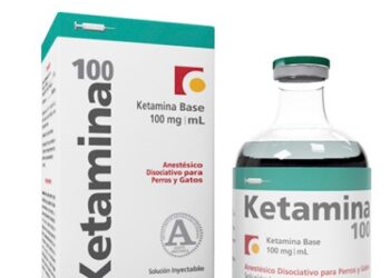 KETAMINA VETERINARIA: ¿QUÉ ES Y CÓMO SE USA?