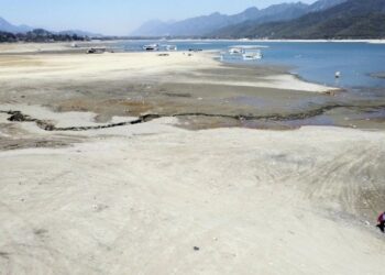 BUSCARÁN WALDO Y JUDITH REVIVIR MONTERREY VI