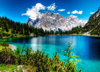 DÍA MUNDIAL DEL MEDIO AMBIENTE 2024: ACCIONES PARA PROTEGER NUESTRO PLANETA