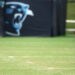 EL PLAN DE DAVE CANALES PARA REPARAR A LOS CAROLINA PANTHERS 7 EL PLAN DE DAVE CANALES PARA REPARAR A LOS CAROLINA PANTHERS