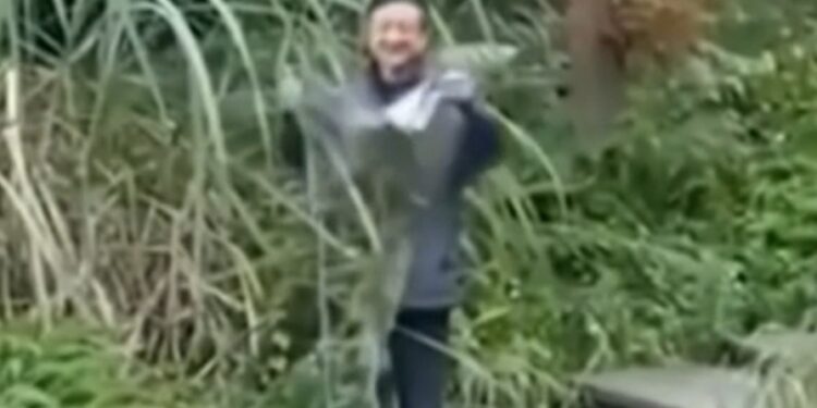 DESARROLLA CHINA PRIMERA CAPA INVISIBLE