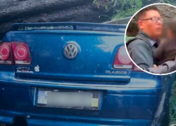 RESCATAN A BEBÉ DE AUTO APLASTADO POR ÁRBOL; MADRE PIERDE LA VIDA