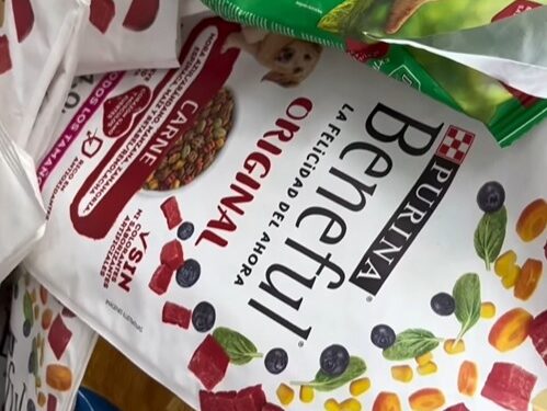 PURINA LANZA CAMPAÑA DE RECICLAJE PARA APOYAR REFUGIOS DE ANIMALES 1 PURINA LANZA CAMPAÑA DE RECICLAJE PARA APOYAR REFUGIOS DE ANIMALES