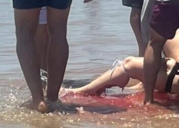 ALERTA EN TEXAS TRAS ATAQUE DE TIBURÓN EN ISLA DEL PADRE