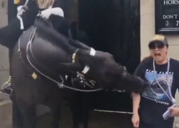 FOTO PAL FACE… Y LA MUERDE CABALLO DE LA GUARDIA REAL