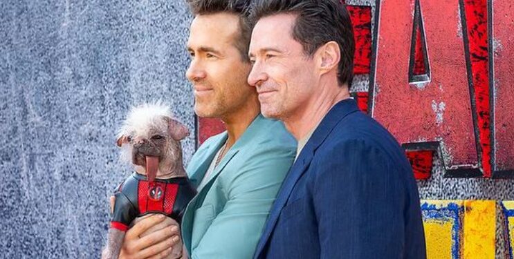 RYAN REYNOLDS Y BLAKE LIVELY PERMITEN A SU HIJA VER DEADPOOL 3 1 RYAN REYNOLDS Y BLAKE LIVELY PERMITEN A SU HIJA VER DEADPOOL 3