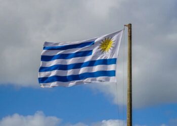 EXPORTACIONES URUGUAYAS CRECEN 34% EN JUNIO: CHINA, BRASIL Y EEUU, PRINCIPALES DESTINOS