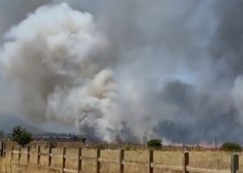 INCENDIO EN VIÑEDOS CASABLANCA: FUEGO Y HUMO EN LA CIUDAD