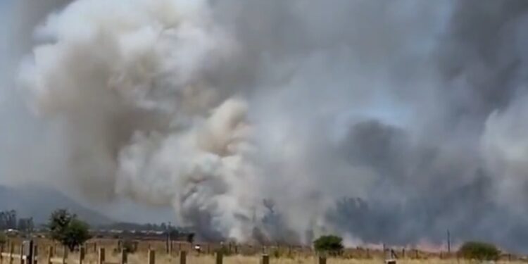 INCENDIO EN VIÑEDOS CASABLANCA: FUEGO Y HUMO EN LA CIUDAD 1 INCENDIO EN VIÑEDOS CASABLANCA: FUEGO Y HUMO EN LA CIUDAD
