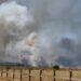 INCENDIO EN VIÑEDOS CASABLANCA: FUEGO Y HUMO EN LA CIUDAD 7 INCENDIO EN VIÑEDOS CASABLANCA: FUEGO Y HUMO EN LA CIUDAD