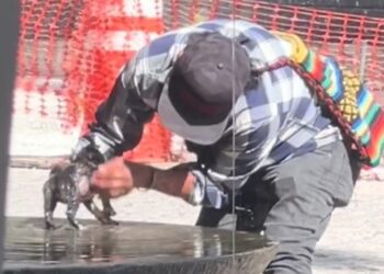 HOMBRE BAÑA A SU PERRO EN UNA FUENTE Y ENTERNECE A INTERNET