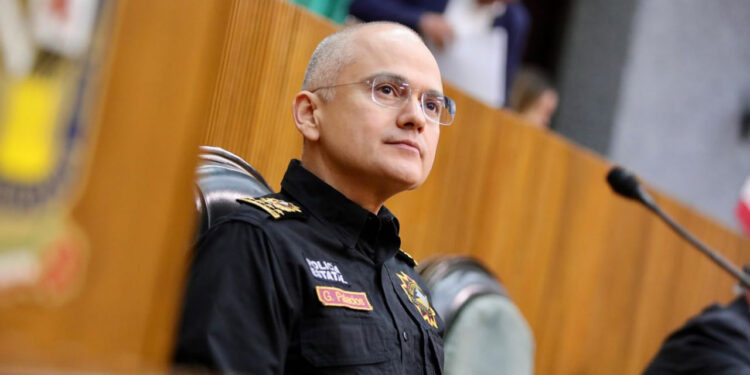 DEJARÁ PALACIOS PÁMANES SECRETARÍA DE SEGURIDAD