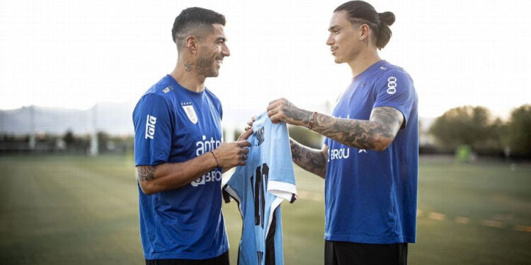 LUIS SUÁREZ CELEBRA 140 PARTIDOS CON URUGUAY Y RECIBE HOMENAJE DE DARWIN NÚÑEZ 1 LUIS SUÁREZ CELEBRA 140 PARTIDOS CON URUGUAY Y RECIBE HOMENAJE DE DARWIN NÚÑEZ