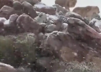 NIEVE EN ÁFRICA: UN FENÓMENO MENOS RARO DE LO QUE PARECE