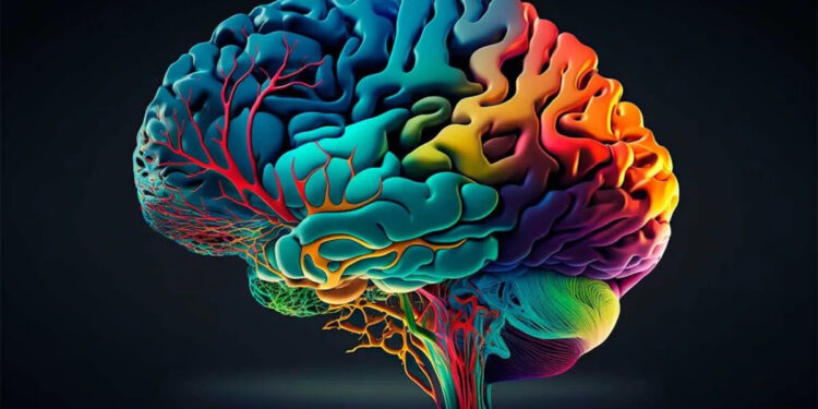 EL CEREBRO TIENE LA CAPACIDAD DE REJUVENECER, SEGÚN CIENTÍFICOS 1 EL CEREBRO TIENE LA CAPACIDAD DE REJUVENECER, SEGÚN CIENTÍFICOS