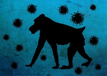 PRIMER CASO DE NUEVA VARIANTE DE VIRUELA DEL MONO DETECTADO EN SUECIA