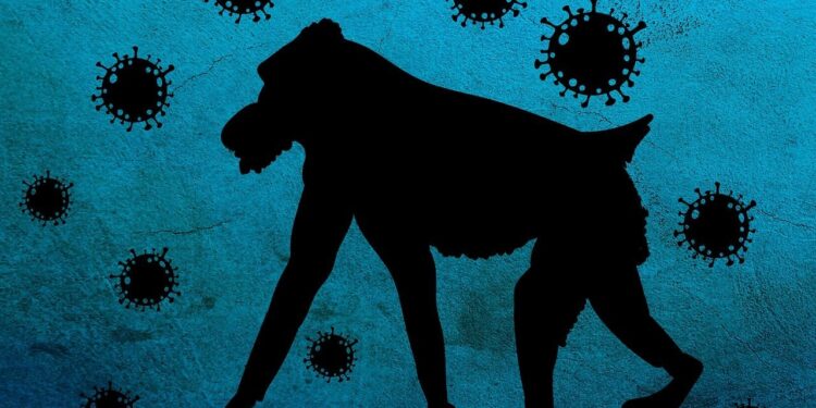 PRIMER CASO DE NUEVA VARIANTE DE VIRUELA DEL MONO DETECTADO EN SUECIA 1 PRIMER CASO DE NUEVA VARIANTE DE VIRUELA DEL MONO DETECTADO EN SUECIA