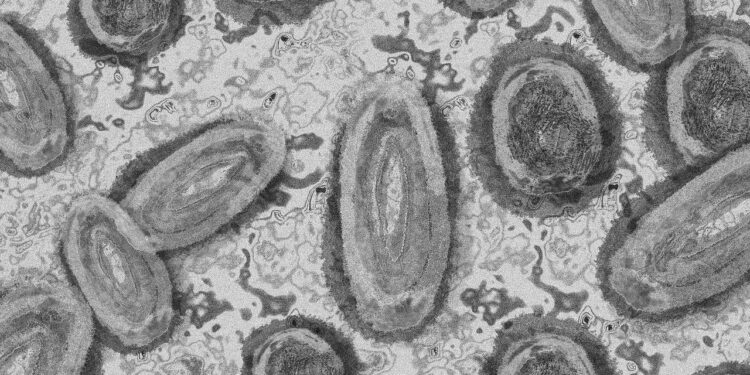 MÉXICO CONFIRMA 49 CASOS DE MPOX EN 11 ESTADOS