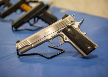 SUBE 110% DECOMISO DE ARMAS EN NL.- INEGI