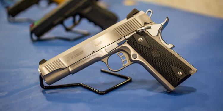 SUBE 110% DECOMISO DE ARMAS EN NL.- INEGI 1 SUBE 110% DECOMISO DE ARMAS EN NL.- INEGI