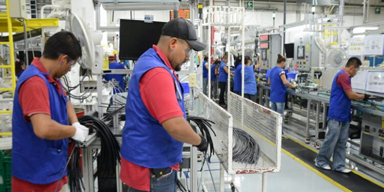 CRECE EMPLEO 129% EN NL Y ES No. 1 A NIVEL NACIONAL 1 CRECE EMPLEO 129% EN NL Y ES No. 1 A NIVEL NACIONAL