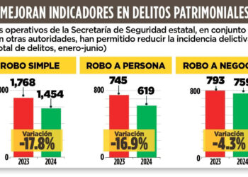 BAJAN ROBOS EN NL 18%