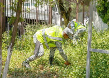 LE ENTRA GUARDIA NACIONAL A DESHIERBE EN ESCUELAS