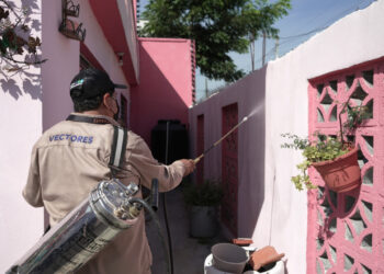 SUBEN CASI AL DOBLE CASOS DE DENGUE EN NL