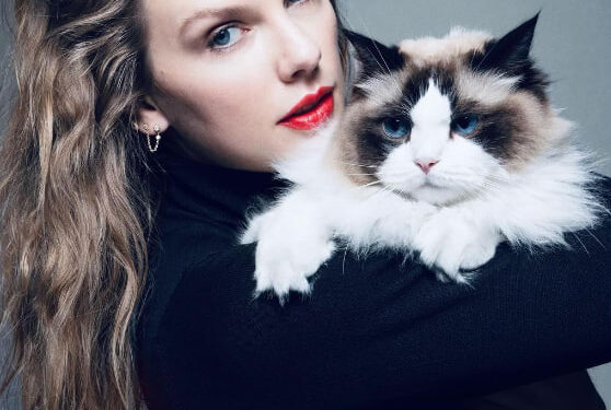 TRUMP CRITICA A TAYLOR SWIFT POR NO APOYARLO: “PAGARÁ UN PRECIO” 1 TRUMP CRITICA A TAYLOR SWIFT POR NO APOYARLO: “PAGARÁ UN PRECIO”