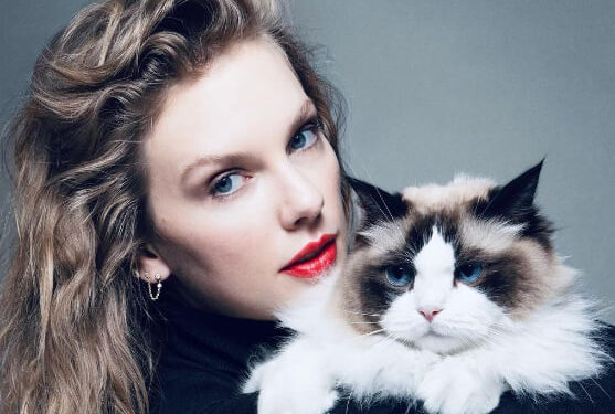 APOYA TAYLOR SWIFT A KAMALA HARRIS 1 APOYA TAYLOR SWIFT A KAMALA HARRIS