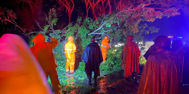 PEGA 'JOHN' EN GUERRERO; DEJA DOS MUERTOS 1 PEGA ‘JOHN’ EN GUERRERO; DEJA DOS MUERTOS