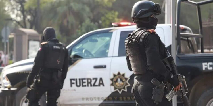 ABATE FUERZA CIVIL A 12 DELINCUENTES EN GENERAL TERÁN