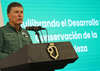 PLANTA NL MEDIO MILLÓN DE ÁRBOLES